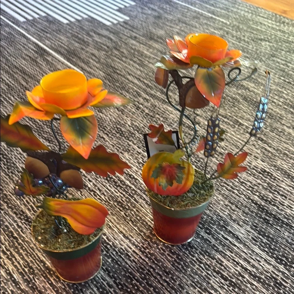 Colorful Metal Flower Pot Set (NWT)